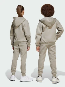 Брюки Adidas ZNE модель JD0007 Фото