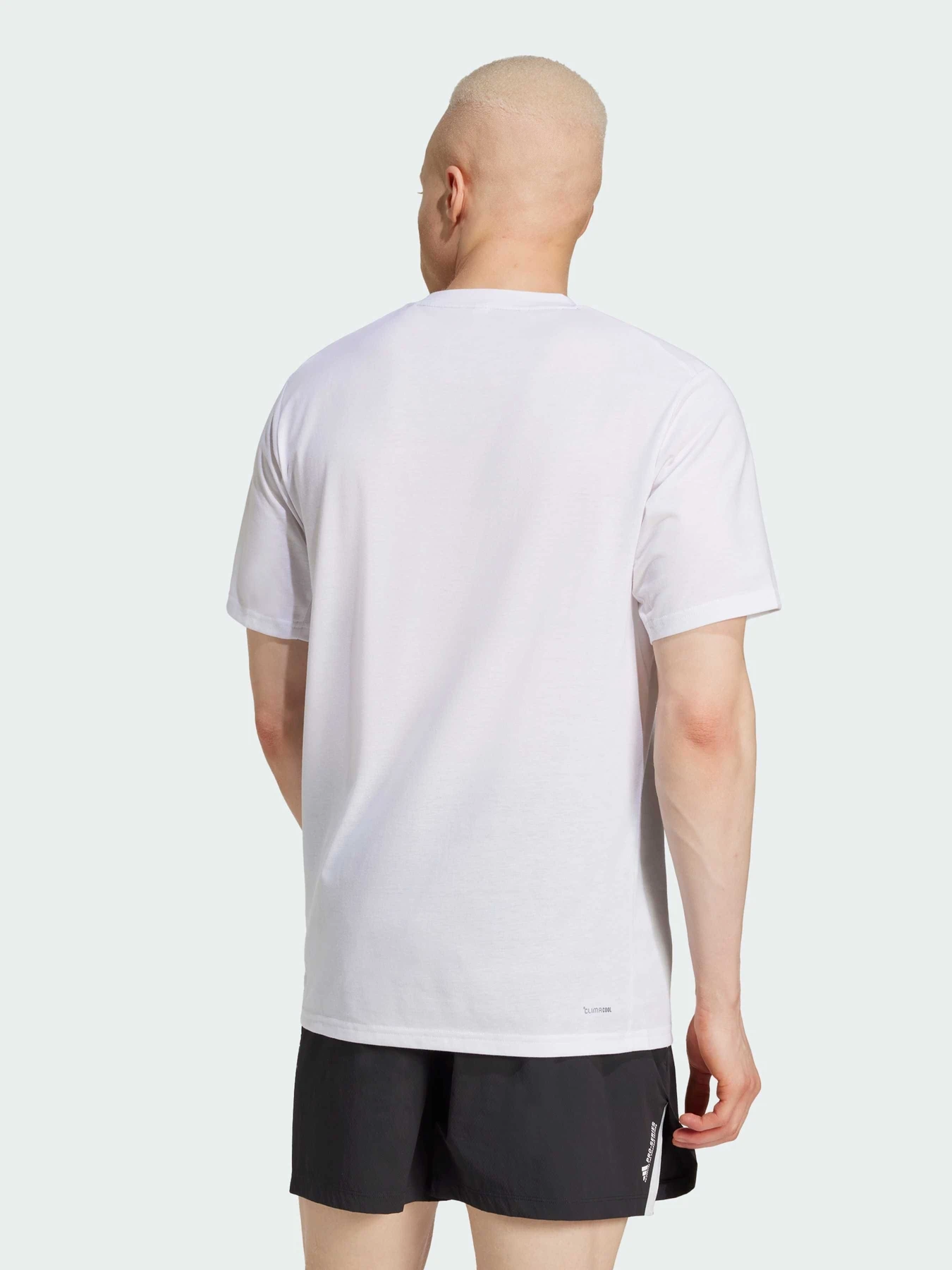 Футболки и поло Adidas модель JD8232 Футболки и поло Adidas модель JD8232 Фото