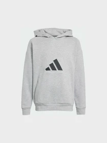 Худи и свитшоты Adidas модель JJ4788 Фото