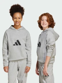 Худи и свитшоты Adidas модель JJ4788 Фото