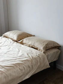 Підковдра лате з вишитими зірками Cozy модель 8009424 Фото