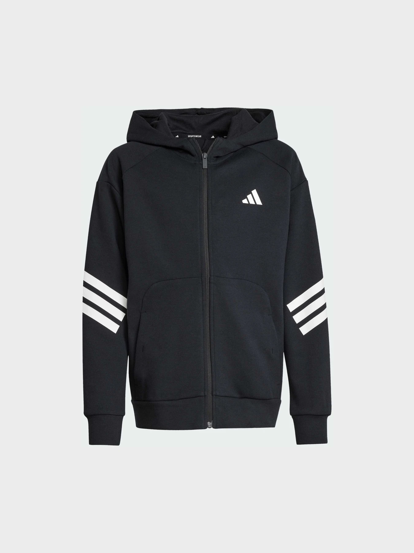 Худі та світшоти Adidas Культові силуети модель JJ4801 Худі та світшоти Adidas Культові силуети модель JJ4801 Фото