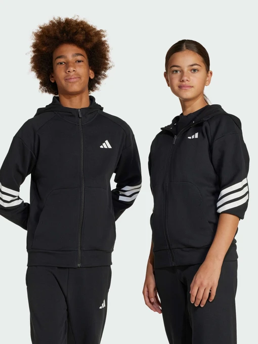 Худи и свитшоты Adidas Культовые силуэты модель JJ4801 Фото