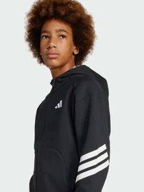 Худі та світшоти Adidas Культові силуети модель JJ4801 Фото