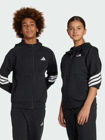 Худи и свитшоты Adidas Культовые силуэты модель JJ4801 Фото