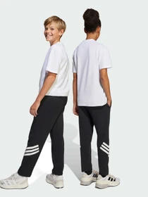 Брюки Adidas Культовые силуэты модель JJ4808 Фото