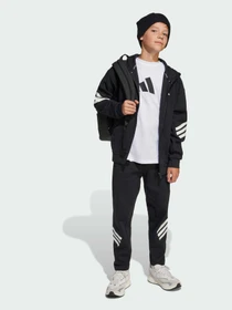 Брюки Adidas Культовые силуэты модель JJ4808 Фото