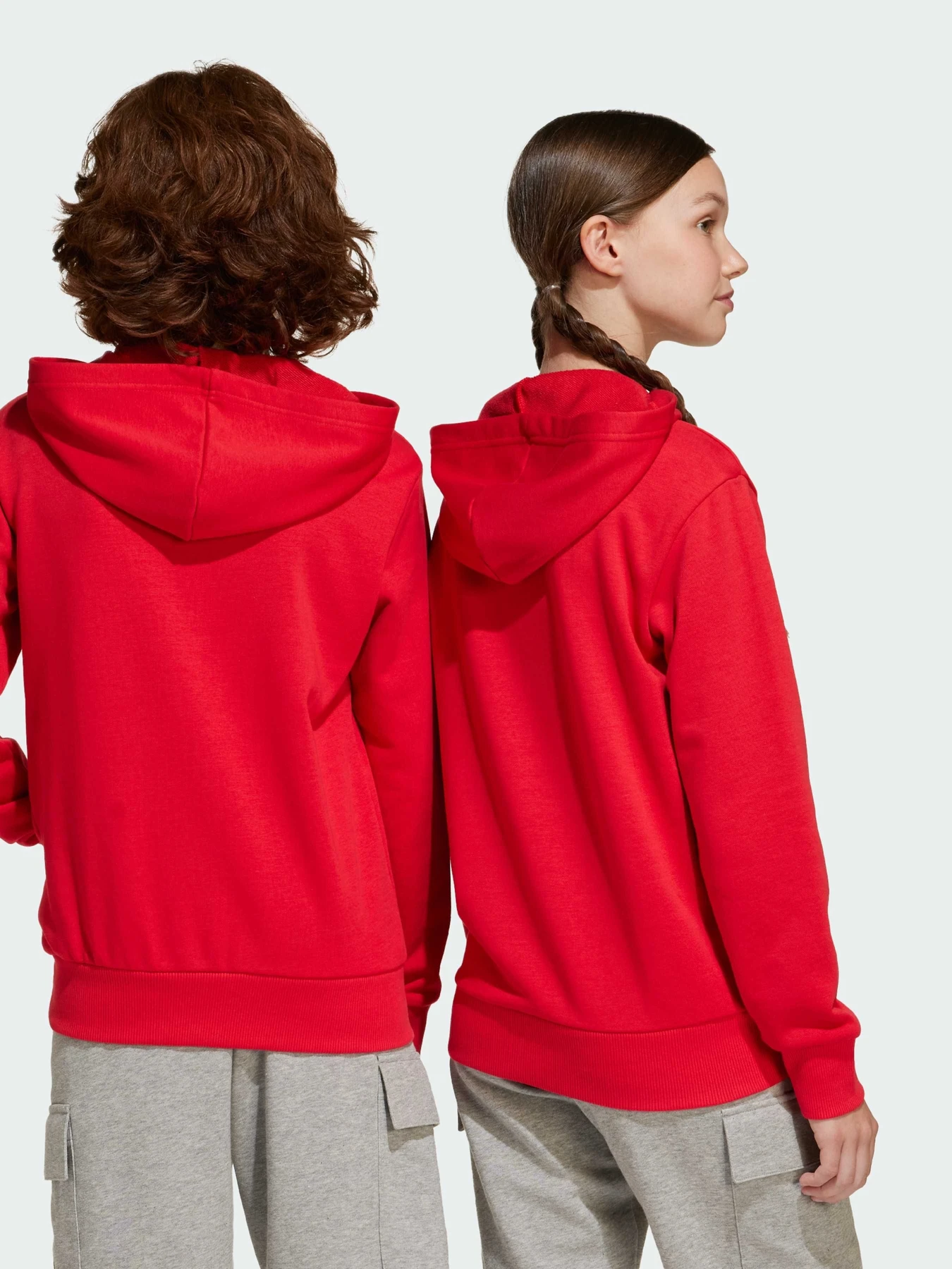 Худи и свитшоты Adidas Культовые силуэты модель JE1389 Худи и свитшоты Adidas Культовые силуэты модель JE1389 Фото