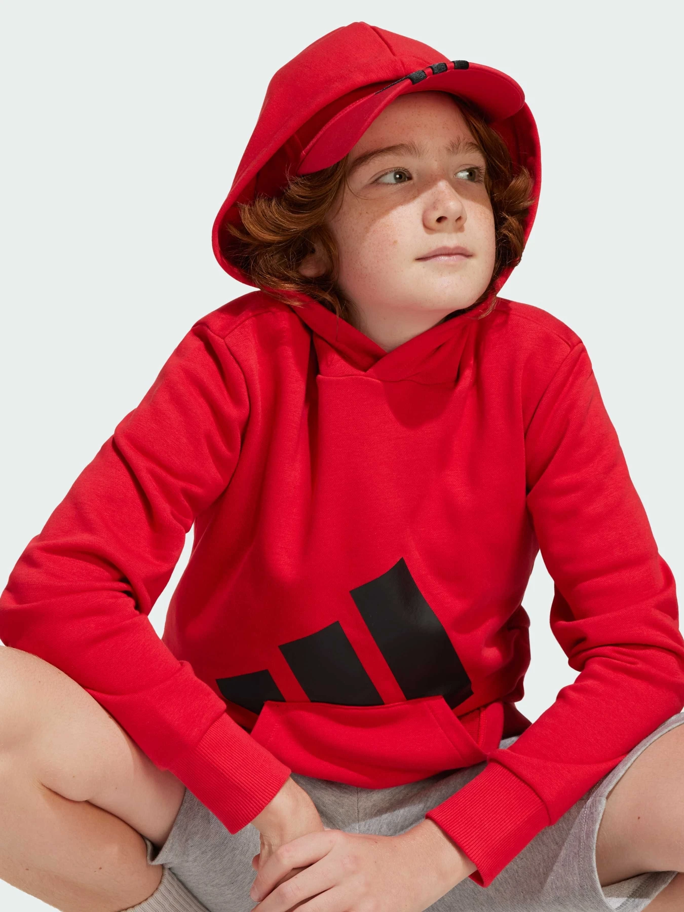 Худи и свитшоты Adidas Культовые силуэты модель JE1389 Худи и свитшоты Adidas Культовые силуэты модель JE1389 Фото