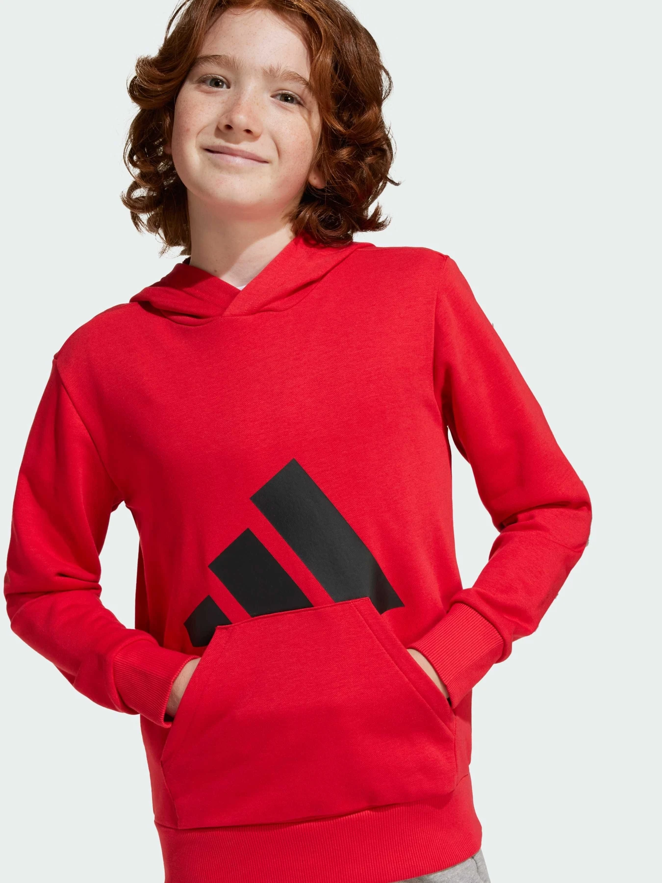 Худи и свитшоты Adidas Культовые силуэты модель JE1389 Худи и свитшоты Adidas Культовые силуэты модель JE1389 Фото