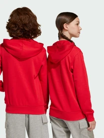 Худи и свитшоты Adidas Культовые силуэты модель JE1389 Фото