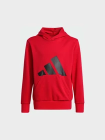 Худи и свитшоты Adidas Культовые силуэты модель JE1389 Фото