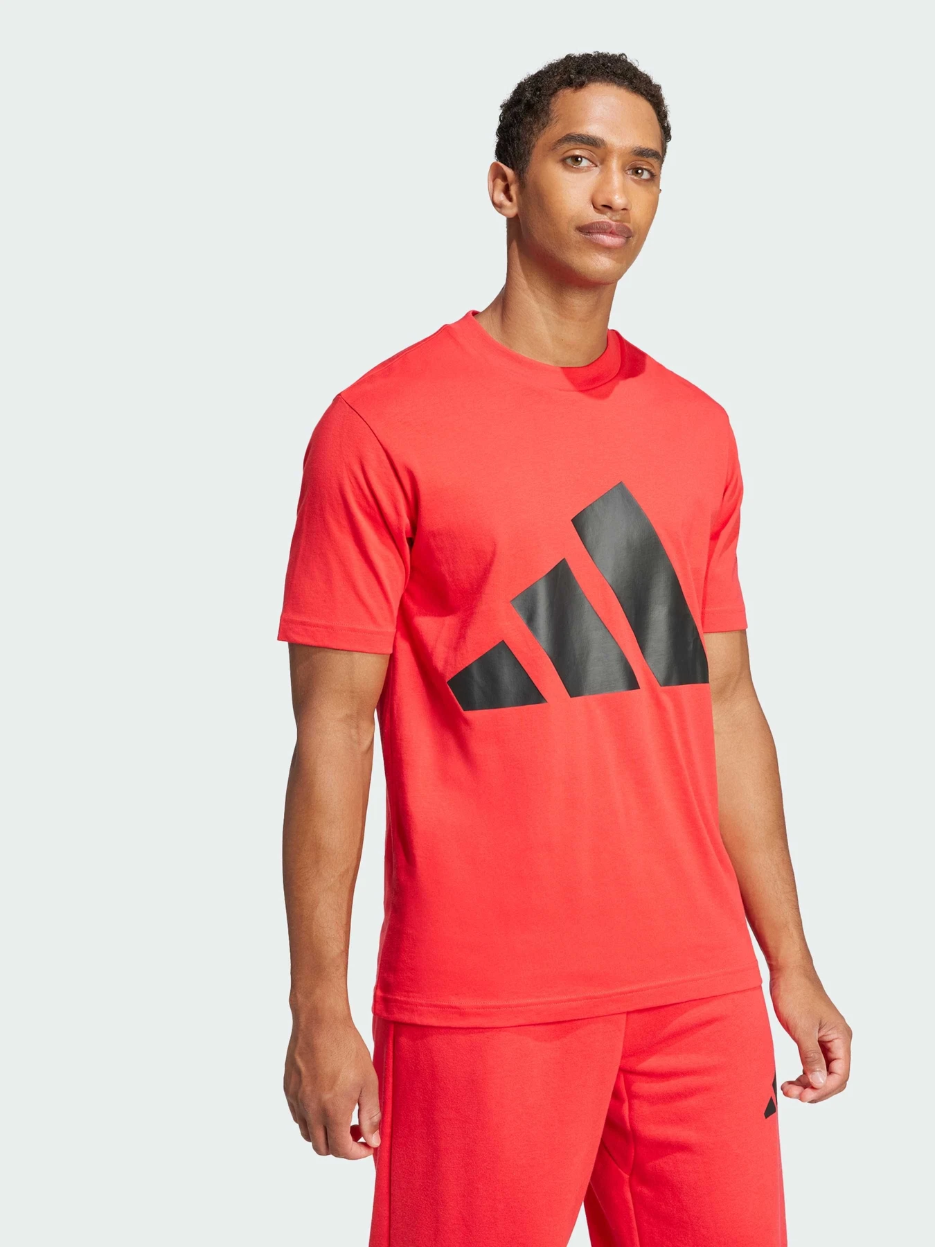 Футболки і поло Adidas Культові силуети модель JE8934 Футболки і поло Adidas Культові силуети модель JE8934 Фото