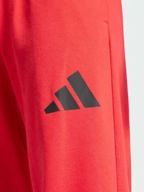 Штани Adidas модель JF3601 Фото