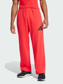 Штани Adidas модель JF3601 Фото
