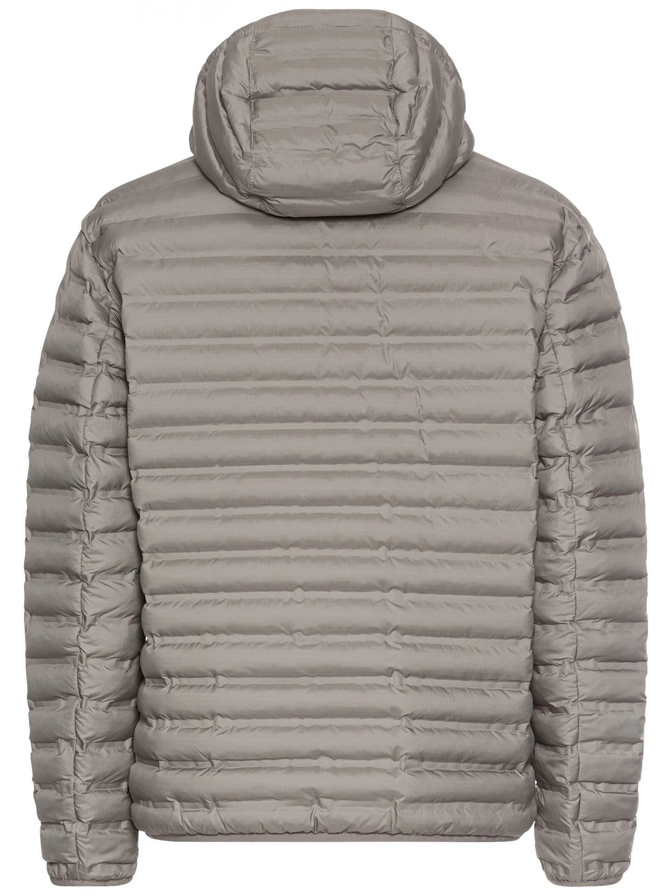 Куртки та дублянки Camel Active Blouson модель 430674-4O66-06 Куртки та дублянки Camel Active Blouson модель 430674-4O66-06 Фото