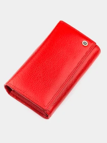 Гаманці Boston Leather Accessories модель bag24_18493 Фото