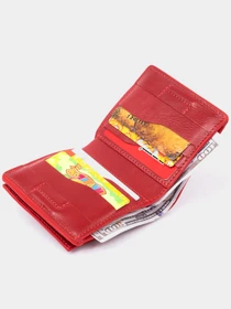 Кошельки Grande Pelle модель bag24_11331 Фото