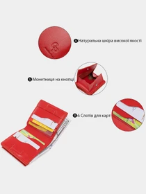 Кошельки Grande Pelle модель bag24_11565 Фото