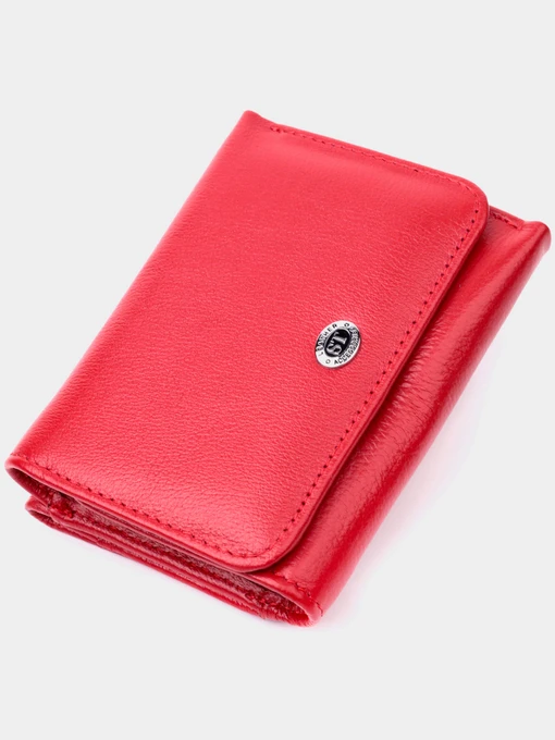 Кошельки ST Leather Accessories модель bag24_19478 Фото