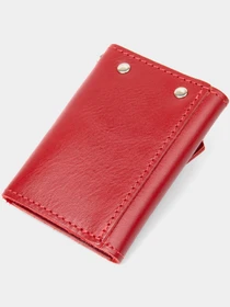 Кошельки Grande Pelle модель bag24_11395 Фото