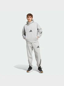 Брюки Adidas ZNE модель JF2446 Фото