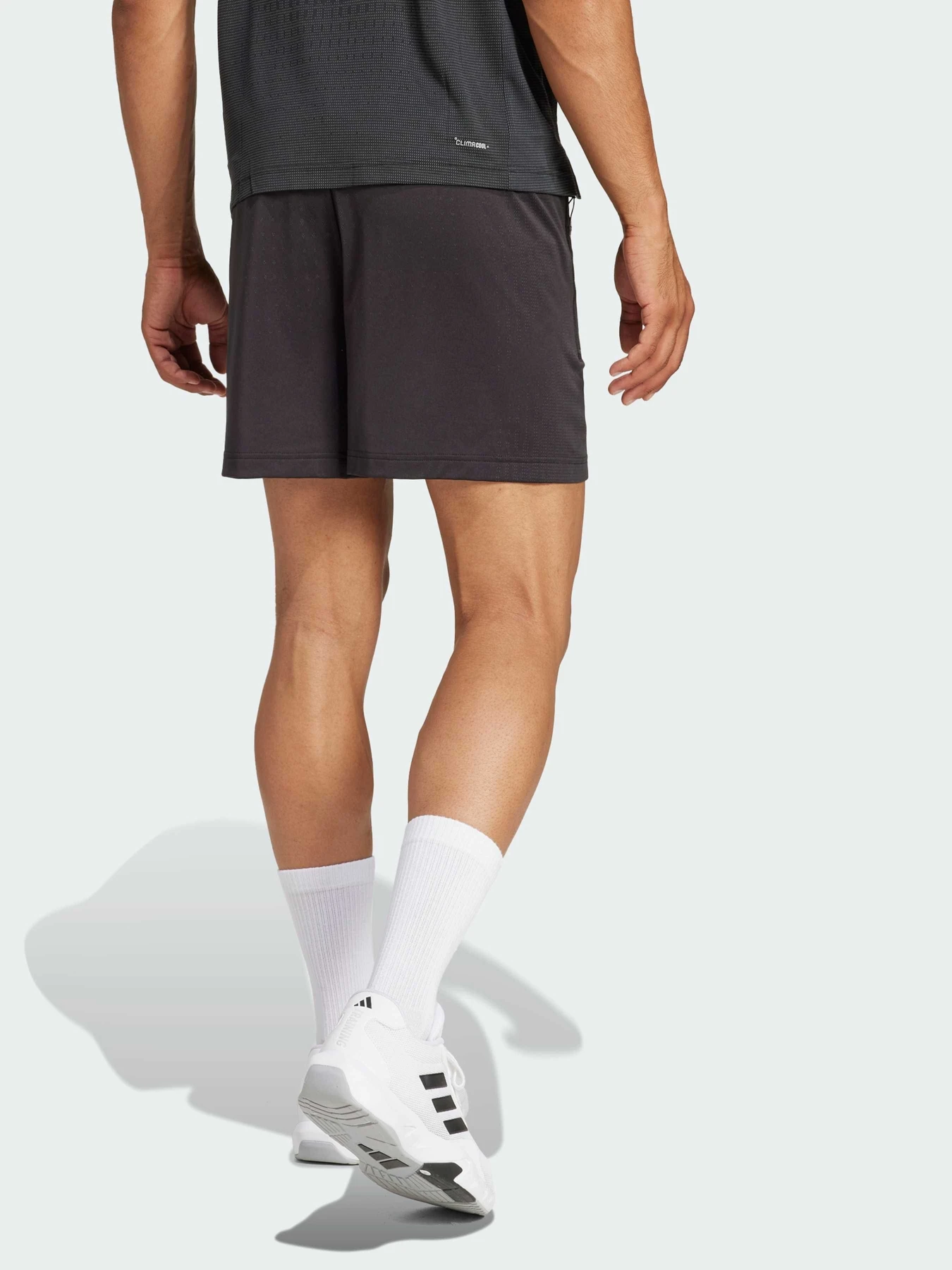 Шорты Adidas модель JI8193 Фото