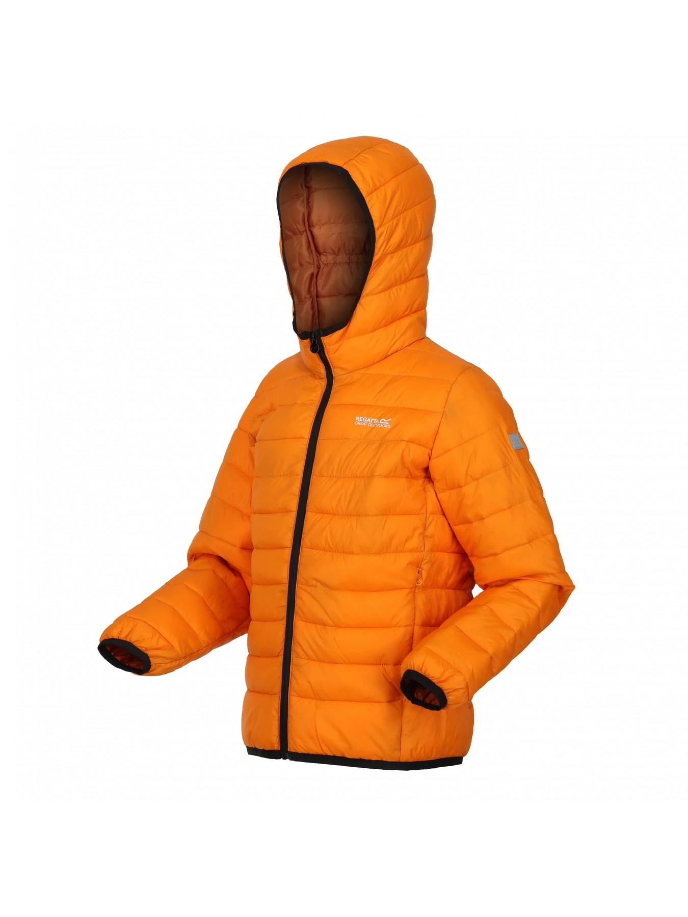 Куртки и дубленки Regatta модель RKN148-P6Z Куртки и дубленки Regatta модель RKN148-P6Z Фото