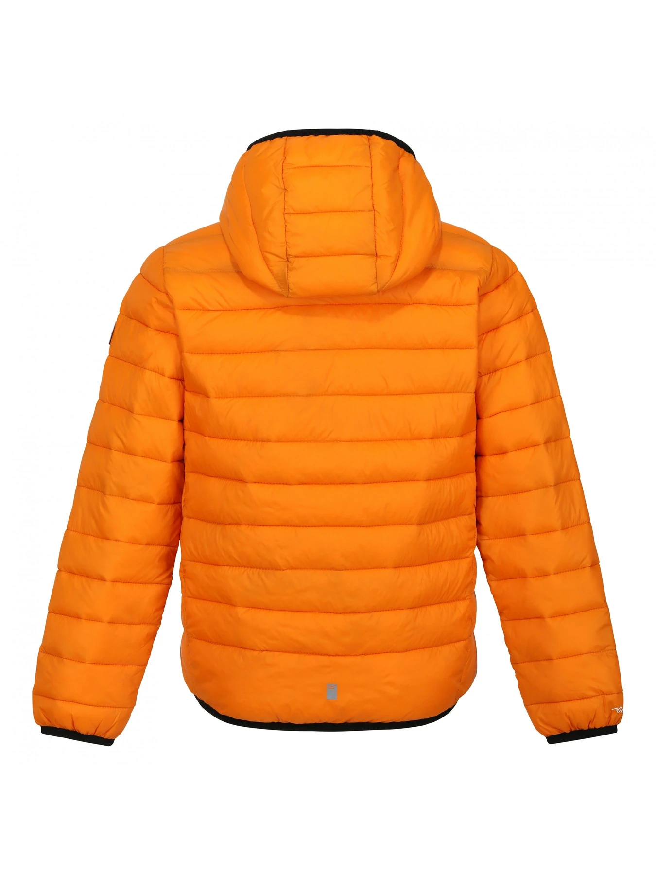 Куртки и дубленки Regatta модель RKN148-P6Z Куртки и дубленки Regatta модель RKN148-P6Z Фото