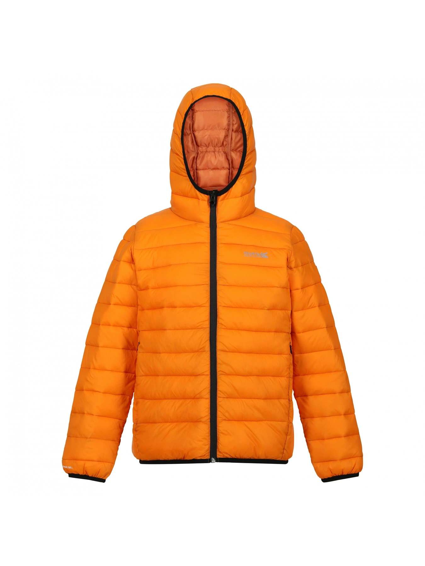 Куртки и дубленки Regatta модель RKN148-P6Z Куртки и дубленки Regatta модель RKN148-P6Z Фото