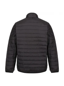 Куртки и дубленки Regatta модель RMP359-HZT Фото