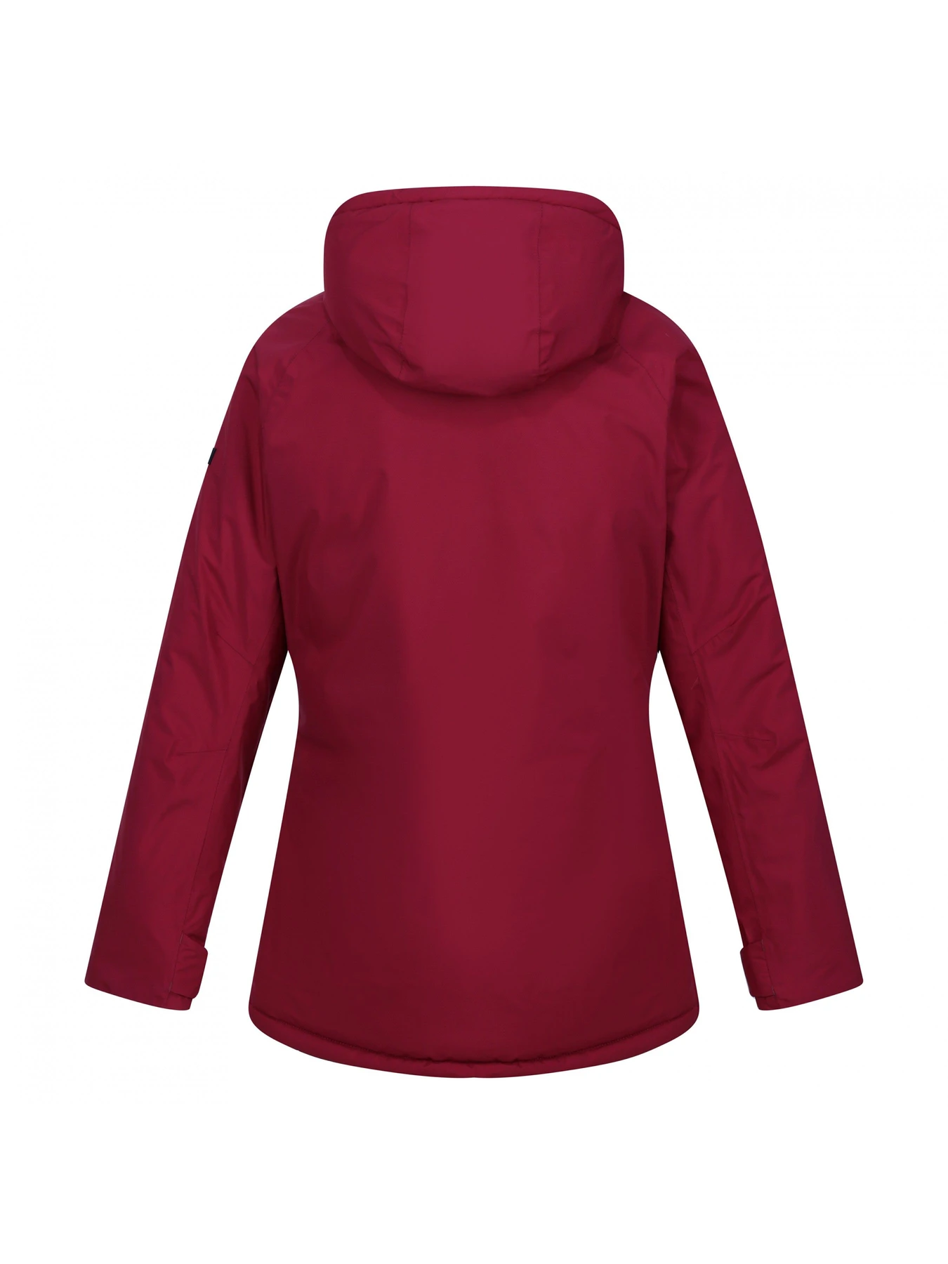 Куртки та дублянки Regatta модель RWP385-07T Фото