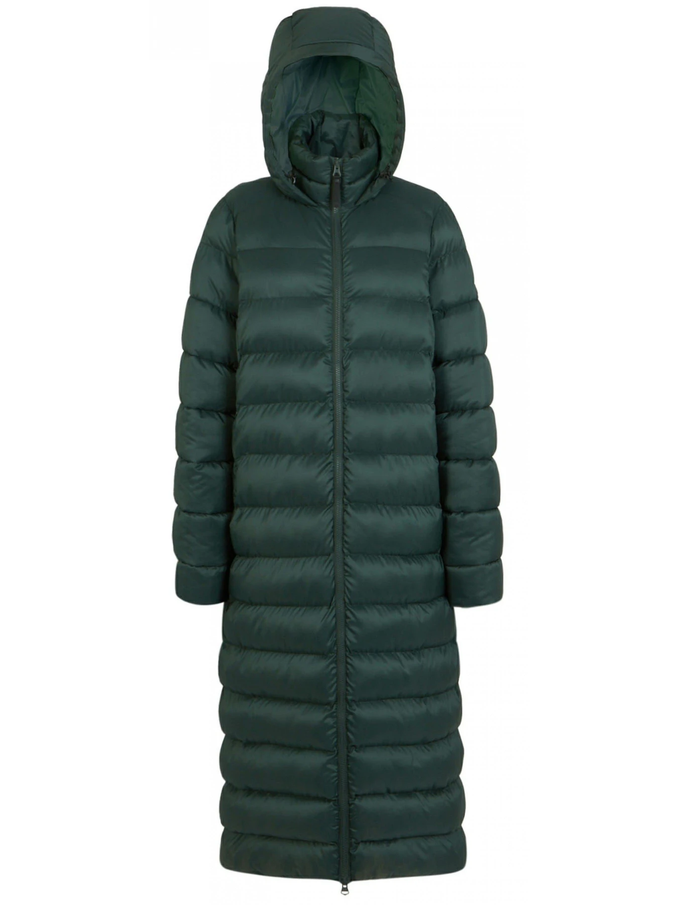Куртки та дублянки Regatta модель RWN268-3P5 Куртки та дублянки Regatta модель RWN268-3P5 Фото