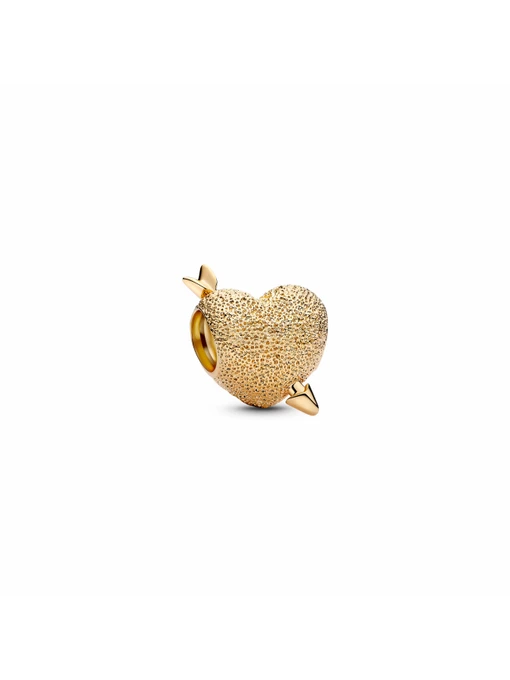 Класичні PANDORA модель 763666C00 Фото
