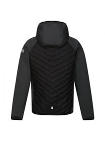 Куртки та дублянки Regatta модель RKN147-T51 Фото