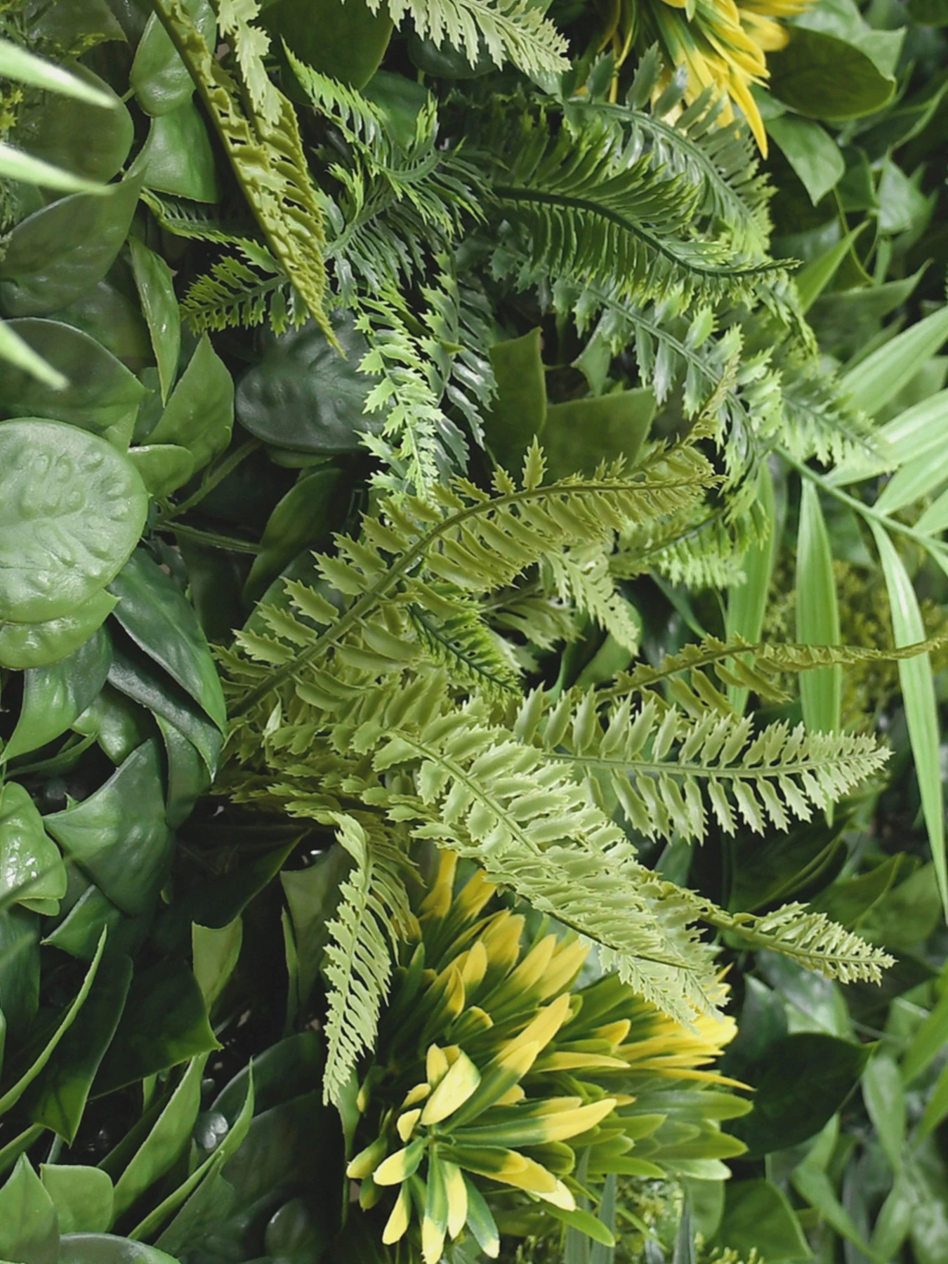 Декоративное зеленое покрытие-фитостена "Гаваи" Engard модель GCK-32 Декоративное зеленое покрытие-фитостена "Гаваи" Engard модель GCK-32 Фото