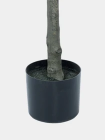 Искусственное растение "Fiddle", 150 см Engard модель TW-02 Фото