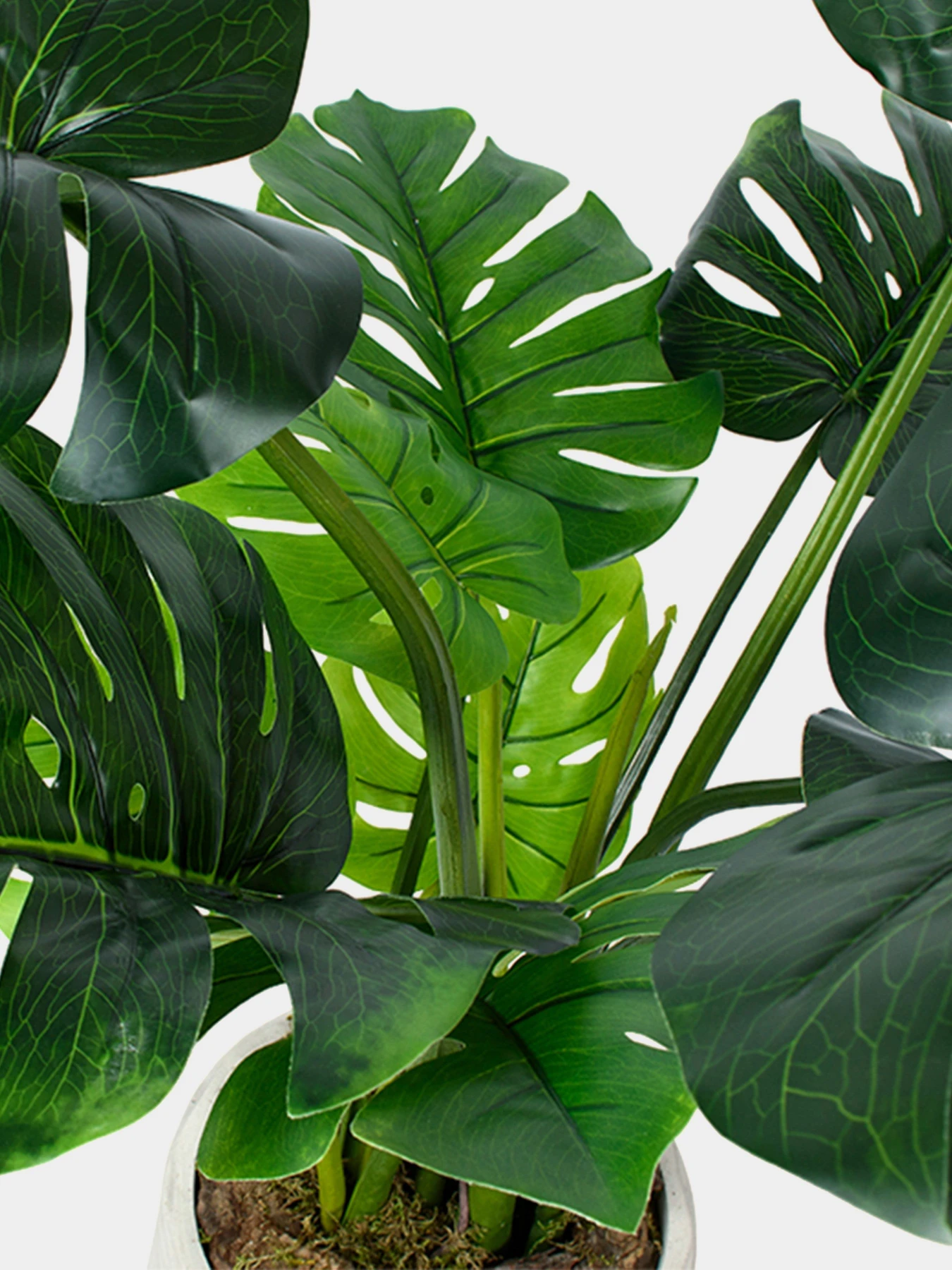 Искусственное растение "Monstera" Engard модель TW-04 Искусственное растение "Monstera" Engard модель TW-04 Фото