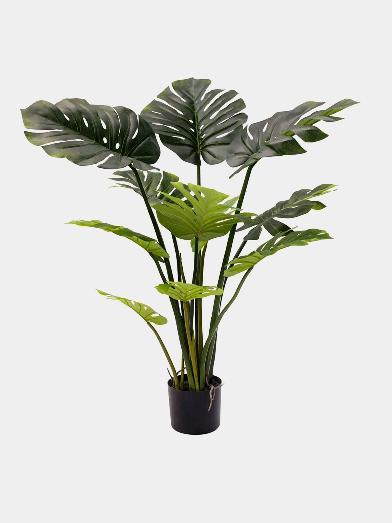 Искусственное растение "Monstera" Engard модель TW-04 Искусственное растение "Monstera" Engard модель TW-04 Фото