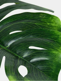 Искусственное растение "Monstera" Engard модель TW-04 Фото