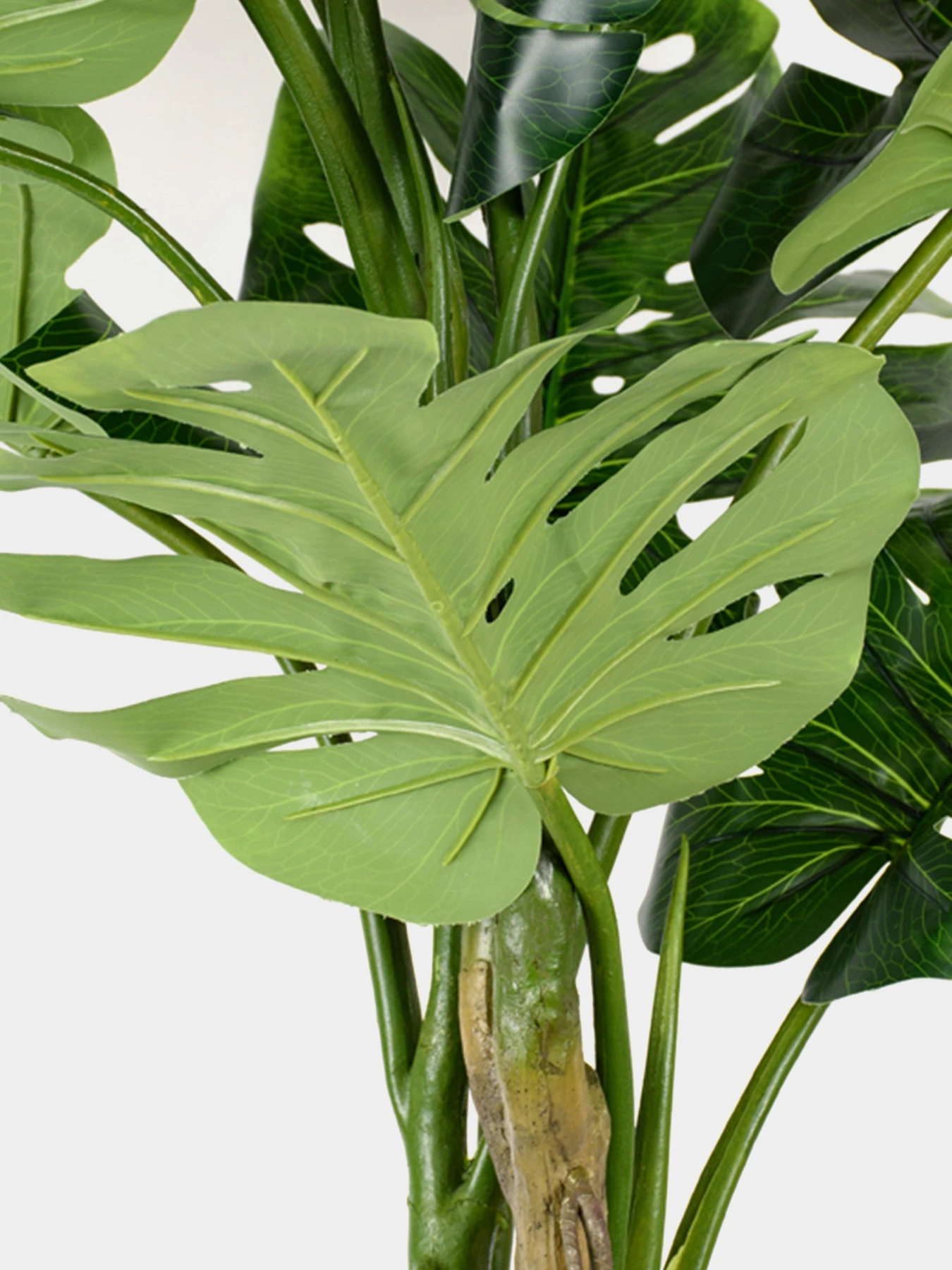 Искусственное растение "Monstera" Engard модель TW-05 Искусственное растение "Monstera" Engard модель TW-05 Фото