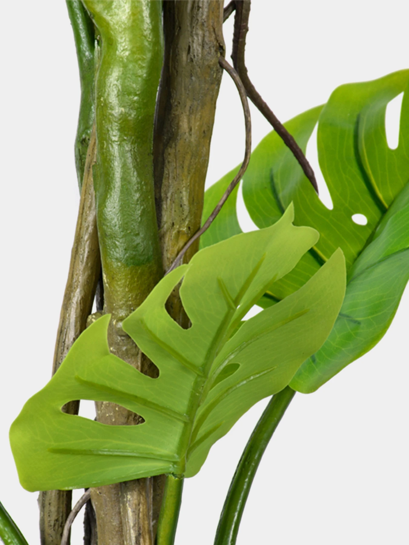 Искусственное растение "Monstera" Engard модель TW-05 Искусственное растение "Monstera" Engard модель TW-05 Фото