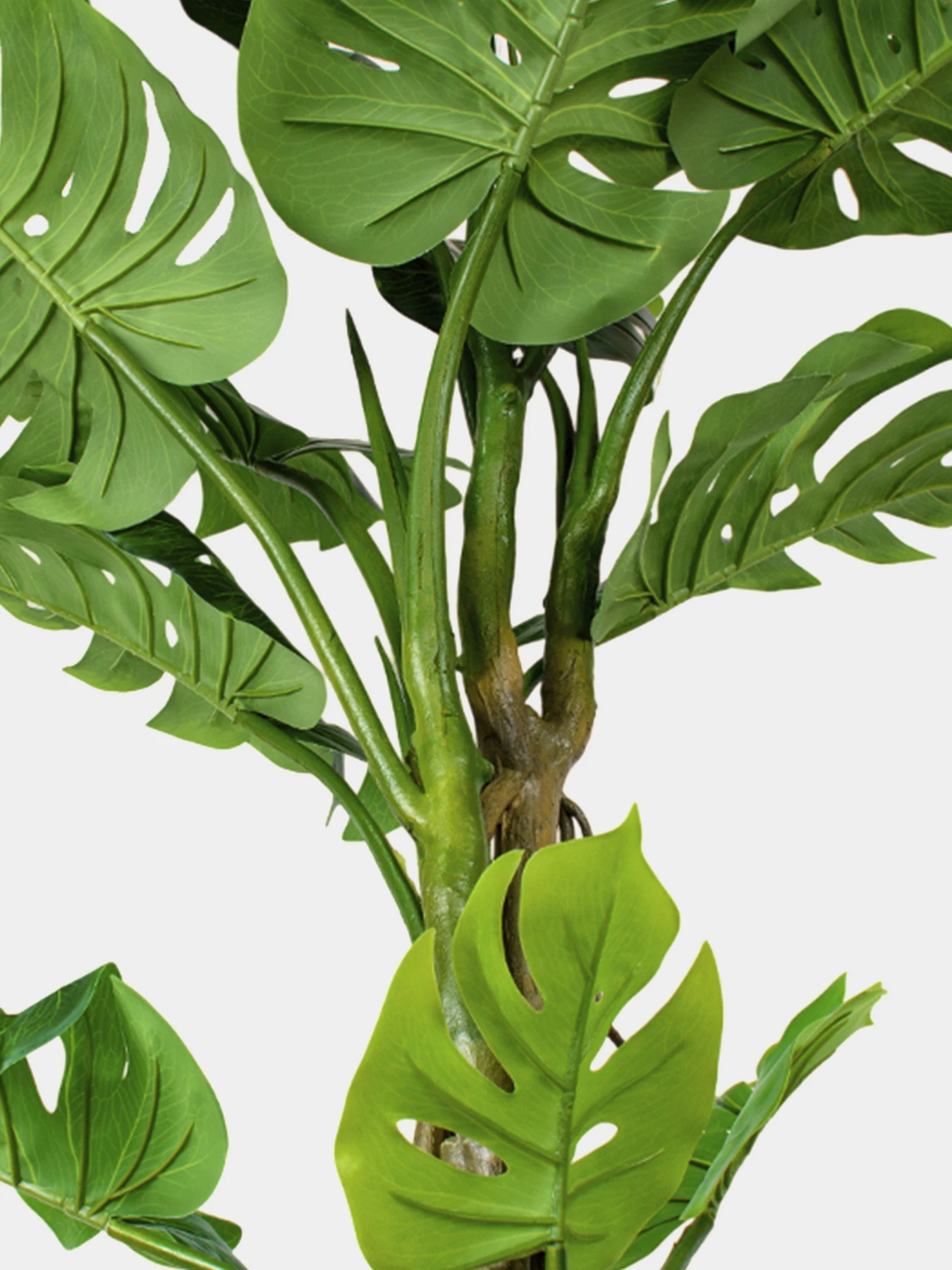 Искусственное растение "Monstera" Engard модель TW-05 Искусственное растение "Monstera" Engard модель TW-05 Фото