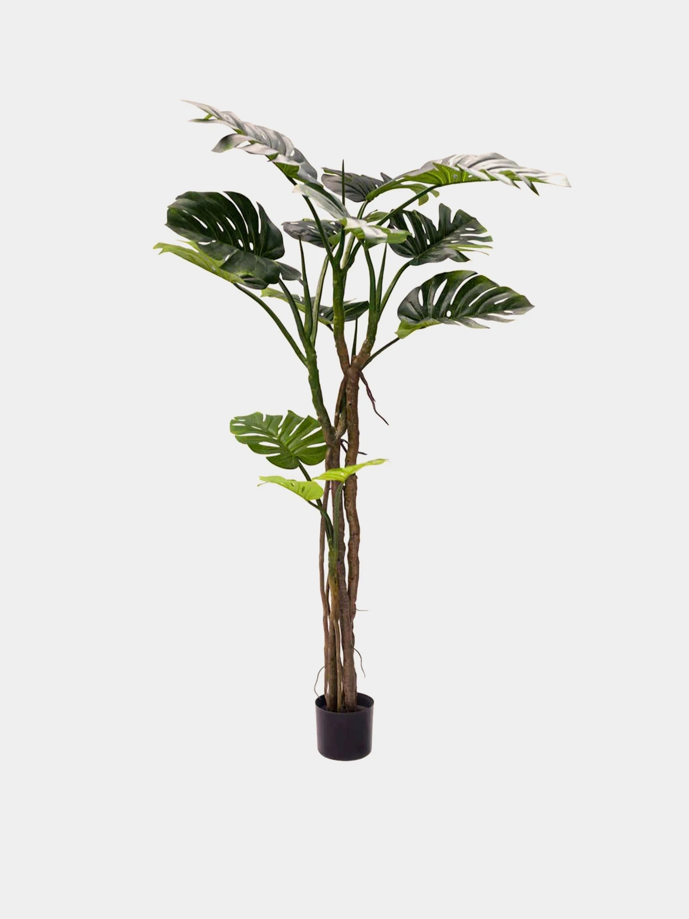Искусственное растение "Monstera" Engard модель TW-05 Искусственное растение "Monstera" Engard модель TW-05 Фото