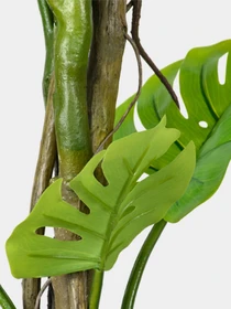 Искусственное растение "Monstera" Engard модель TW-05 Фото