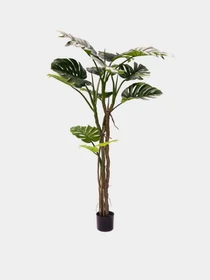 Искусственное растение "Monstera" Engard модель TW-05 Фото