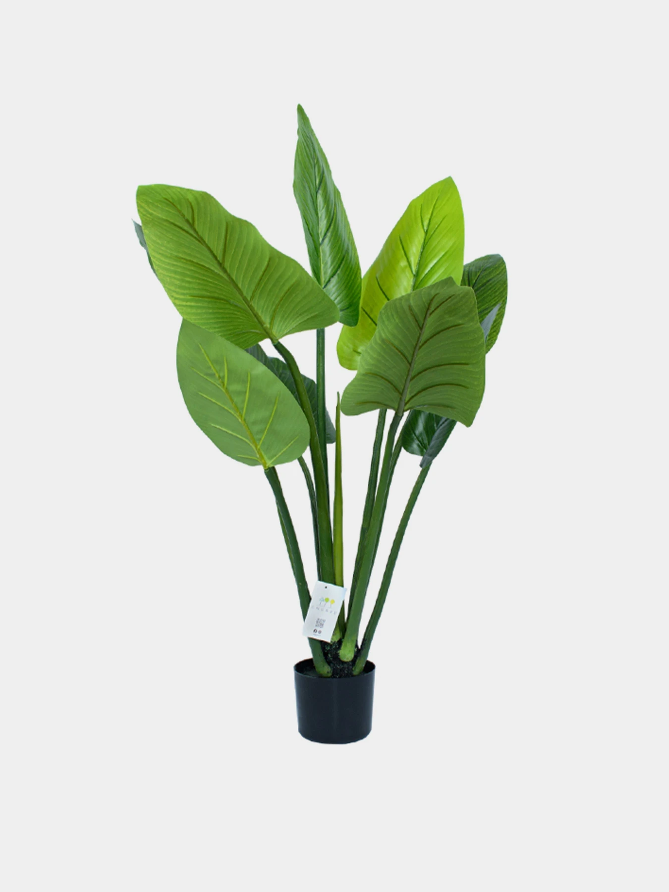 Искусственное растение "Philodendron" Engard модель TW-38 Искусственное растение "Philodendron" Engard модель TW-38 Фото