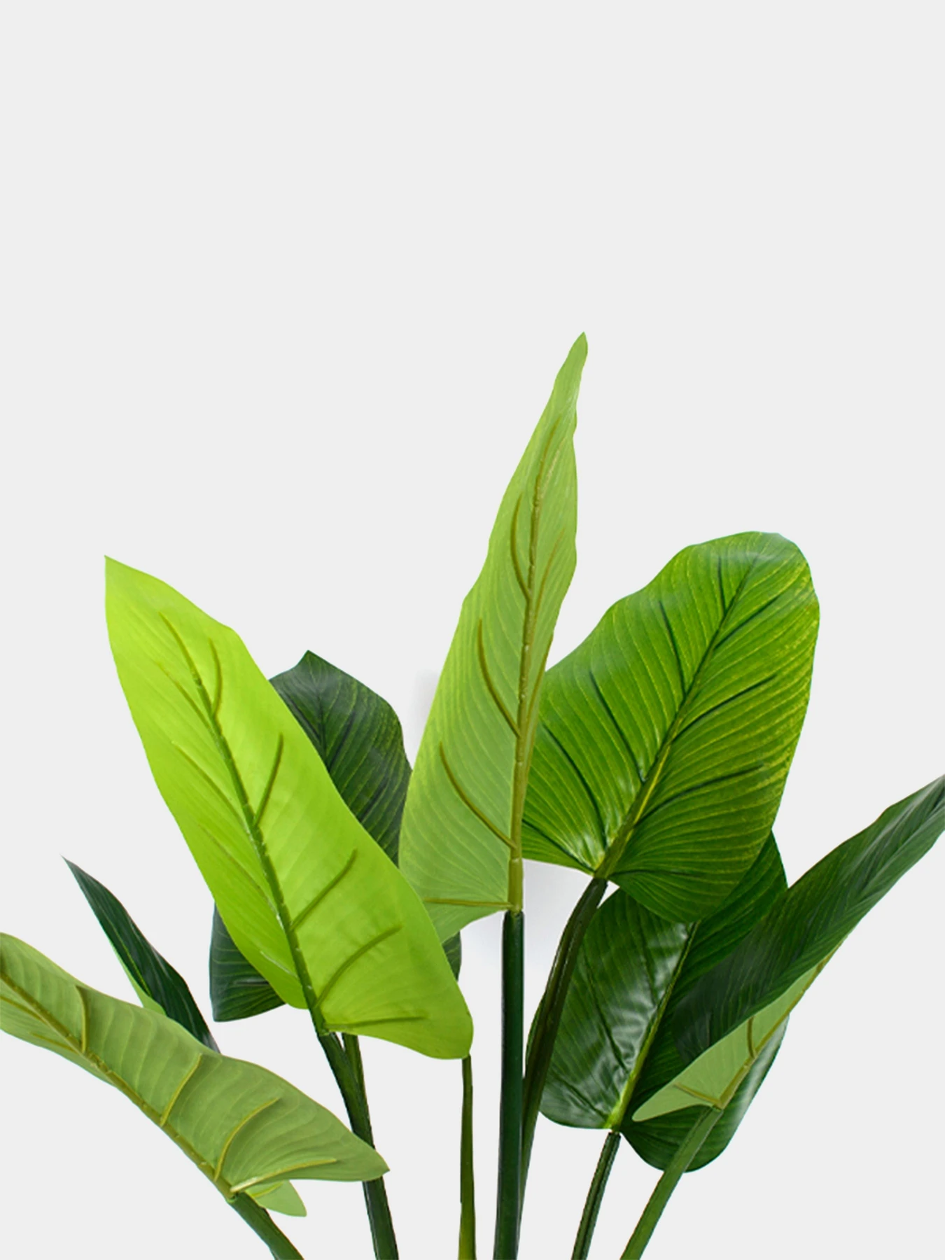 Искусственное растение "Philodendron" Engard модель TW-38 Искусственное растение "Philodendron" Engard модель TW-38 Фото