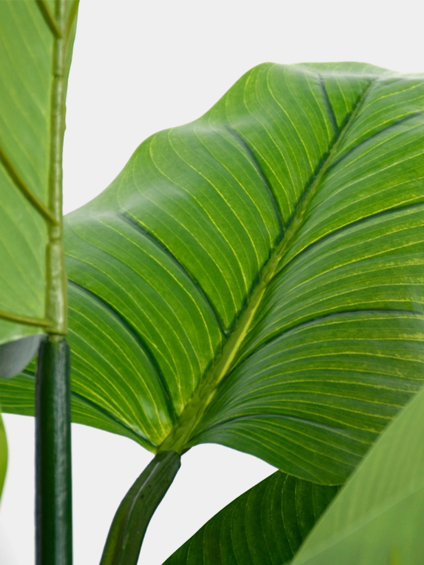 Искусственное растение "Philodendron" Engard модель TW-38 Искусственное растение "Philodendron" Engard модель TW-38 Фото