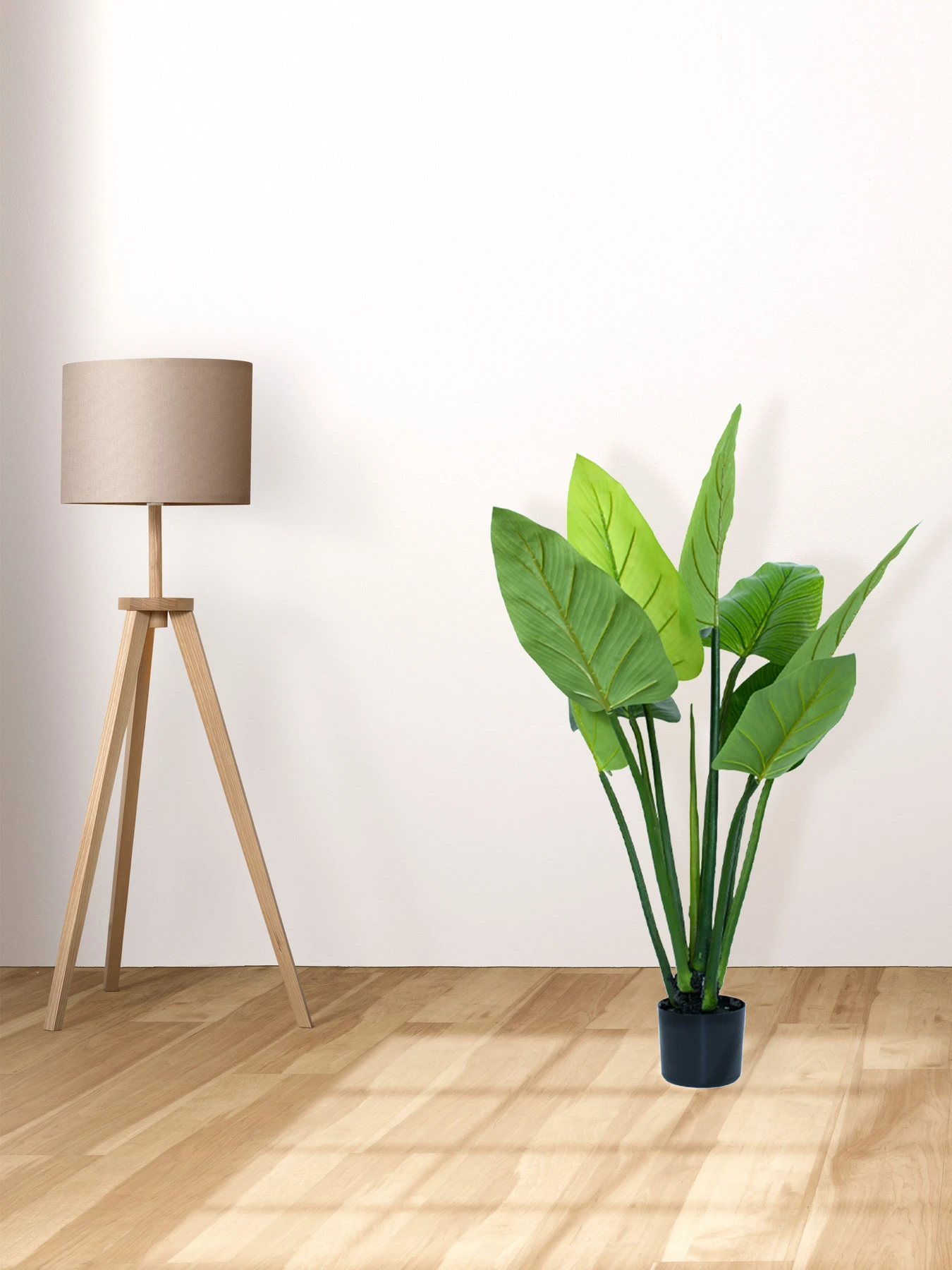 Искусственное растение "Philodendron" Engard модель TW-38 Искусственное растение "Philodendron" Engard модель TW-38 Фото
